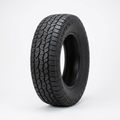 Bridgestone 265/60R22 All-Terrain Tire - New