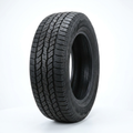 Goodyear 295/65R21 All-Terrain Tire - New